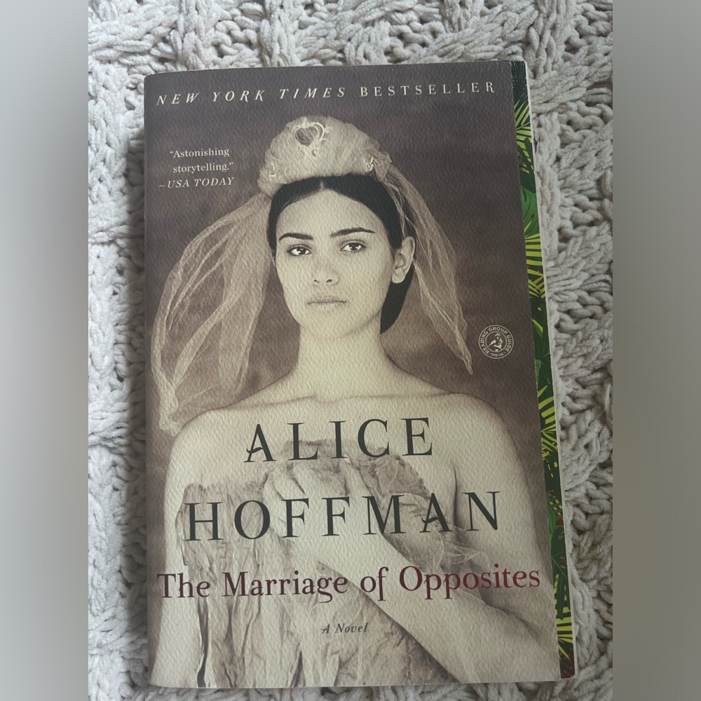 The Marriage of Opposites by Alice Hoffman